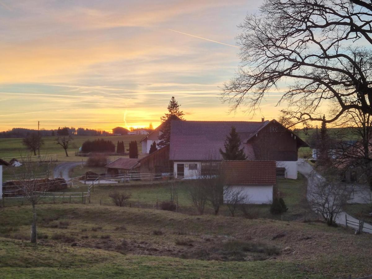 Butterei Apartman Argenbuhl Kültér fotó